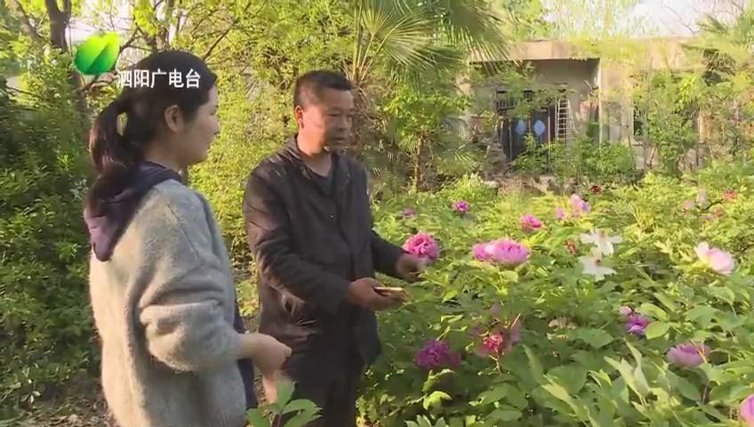 江苏泗阳鼎盛科技，引领科技创新，铸就辉煌未来