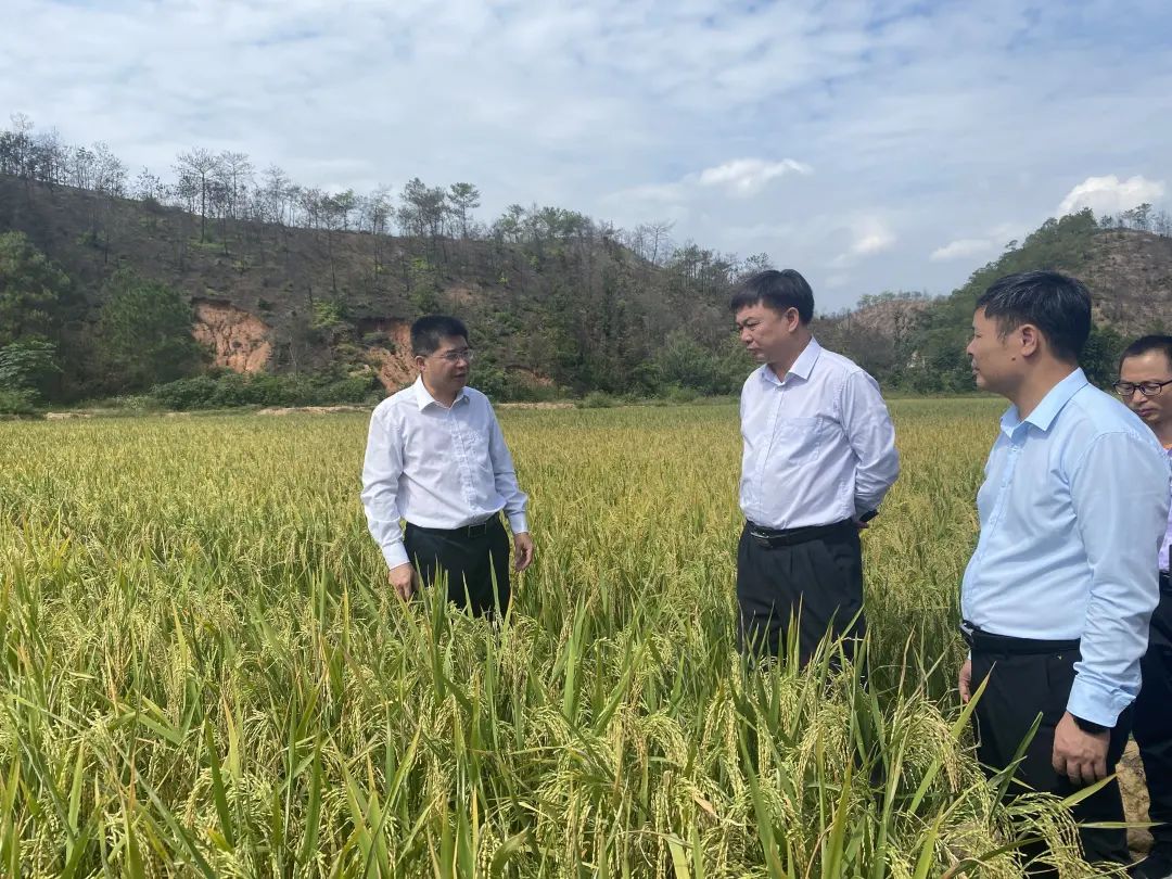 广东省粮食产业中的黄海龙，引领与担当