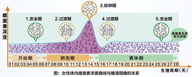 一个月不来姨妈是否正常？解读月经周期与身体变化