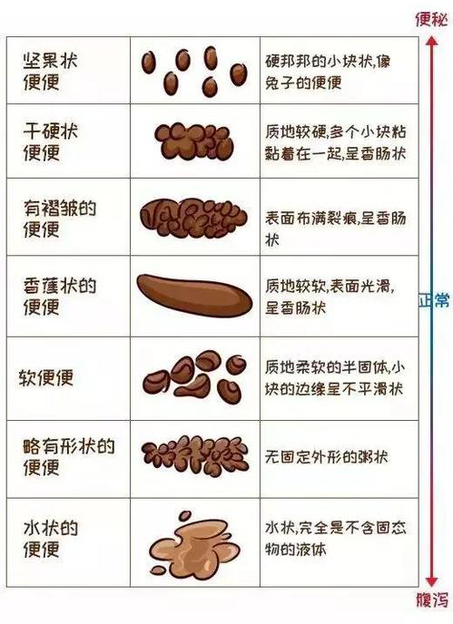 八个月宝宝一天大便次数正常的探讨