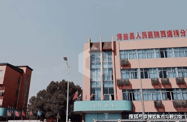 广东省妇幼陈华佳，医疗领域的杰出代表