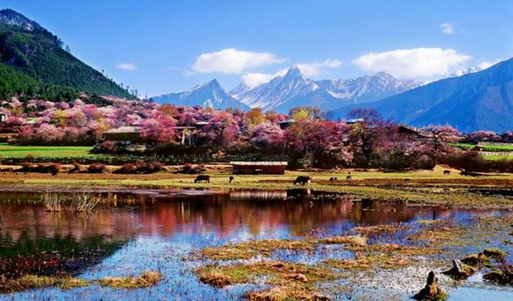 每个月适合旅游的地方，探索中国的四季美景