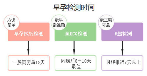 同房后一个月的测试，探索早期怀孕检测的重要性与准确性